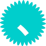 256