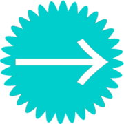 262