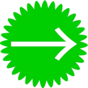 262