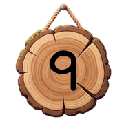 009