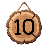 010