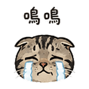 036