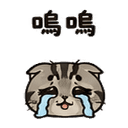 037