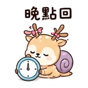 005