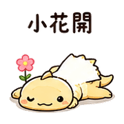 019