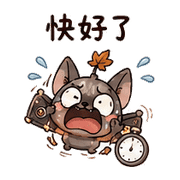 003