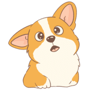 003