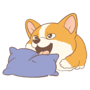 005