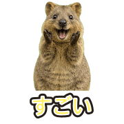 004