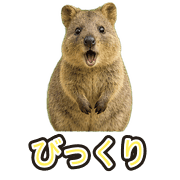 006