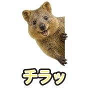014