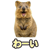 017