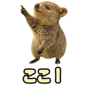 019