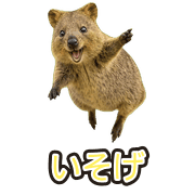 023