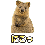 025