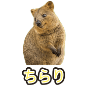 030