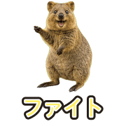 031