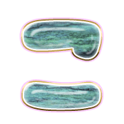 010