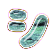 092