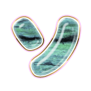095