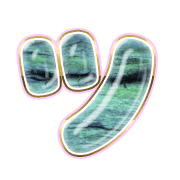 098