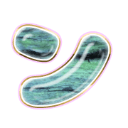 126