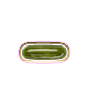 161