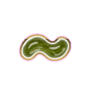 224