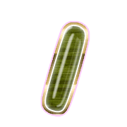 247