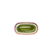 251