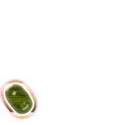 256