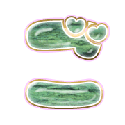 060