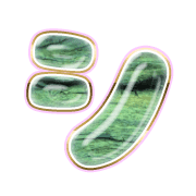 092