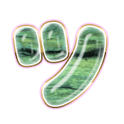 098