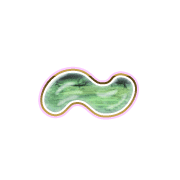 224