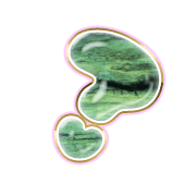 226