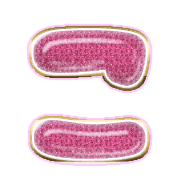 010