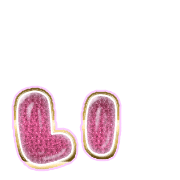 048