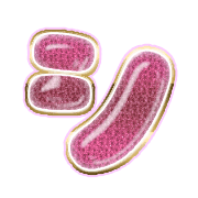 092