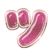 098