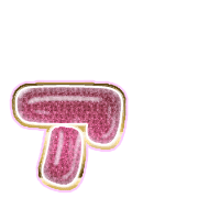 127