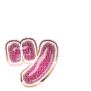 132