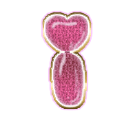 196