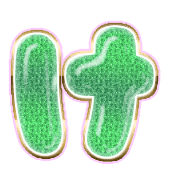 009
