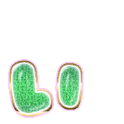 048