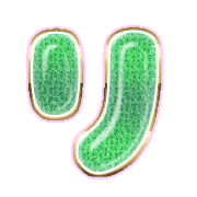 120