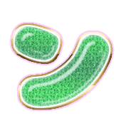 126