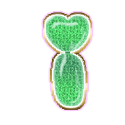 196
