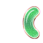 234
