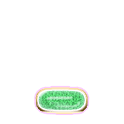 250